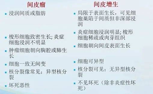 纖維肉瘤,滑膜肉瘤等骨肉瘤或軟骨肉瘤脂肪肉瘤惡性黑色素瘤上皮樣