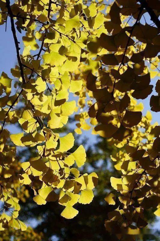 时间面前,一切终将释怀_人生_时光_岁月