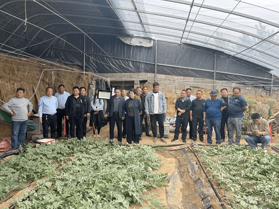 莒南县洙边镇开展第一季度"创优"村党支部书记擂台赛_建设_工作_鲁网