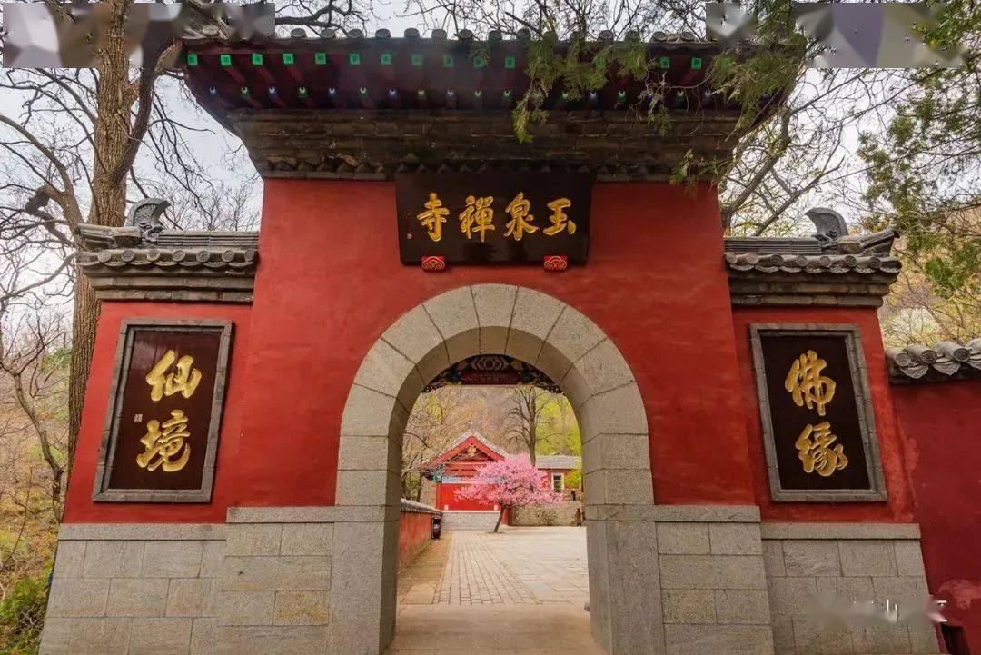 由来不觉春光晚,玉泉寺内正芬芳_景区_时光_泰山