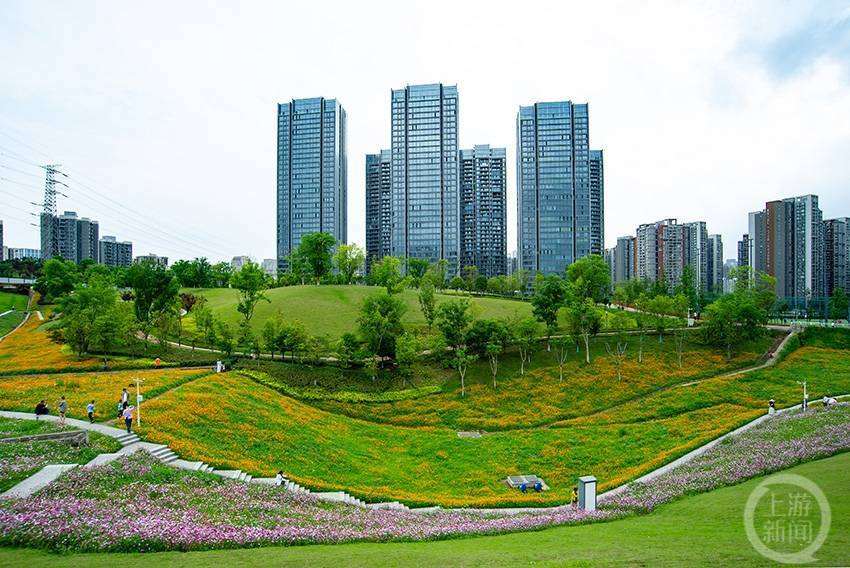 溉澜溪体育公园:溪谷"花海"正灿烂