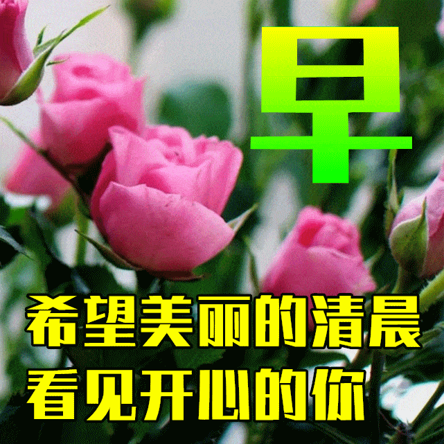 641_641gif 动态图 动图