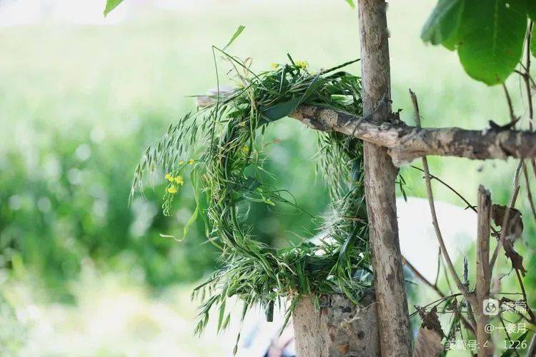 人像摄影:五月浅夏,喜欢那一抹绿色_绿意_生命_麦田