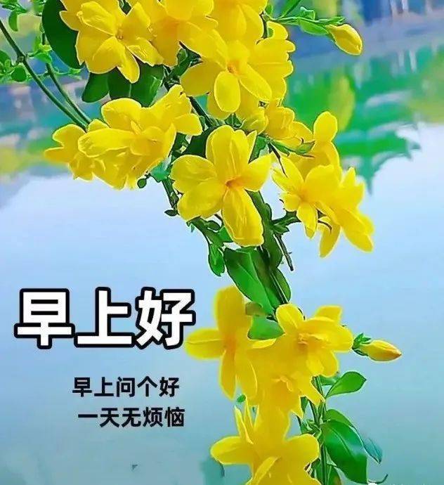 早上好精选句子,幸福美满_祝福_问候_生活