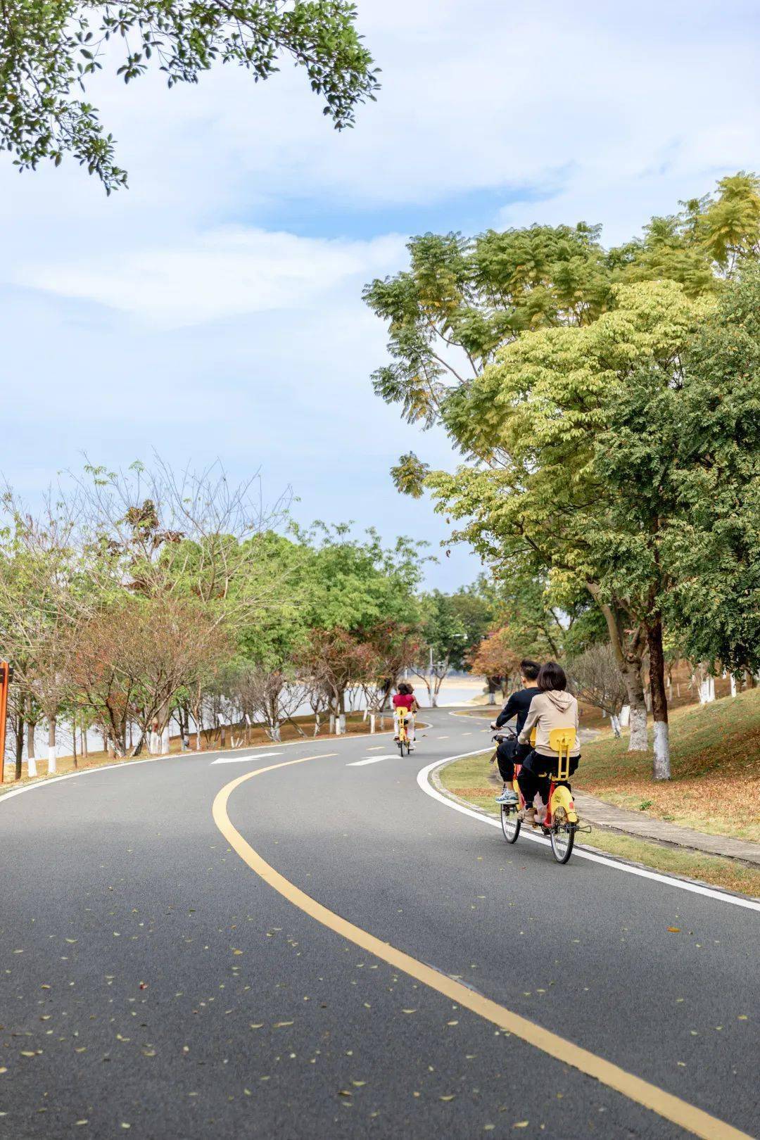 深夜食堂!松山湖好吃好喝好玩一站式体验get_松湖_东莞_烟雨