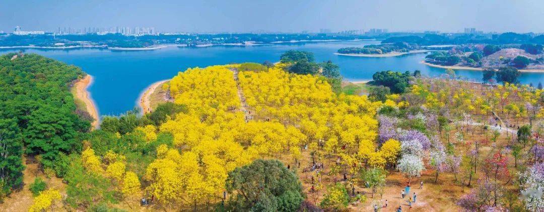 松木山水库:山水相依,水城共融_东莞市_松湖_松山
