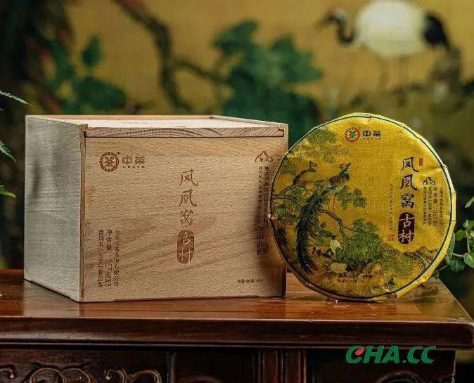 中茶凤凰窝古树茶 | 稀缺古树春茶,限量4000饼_茶树_原料_品质