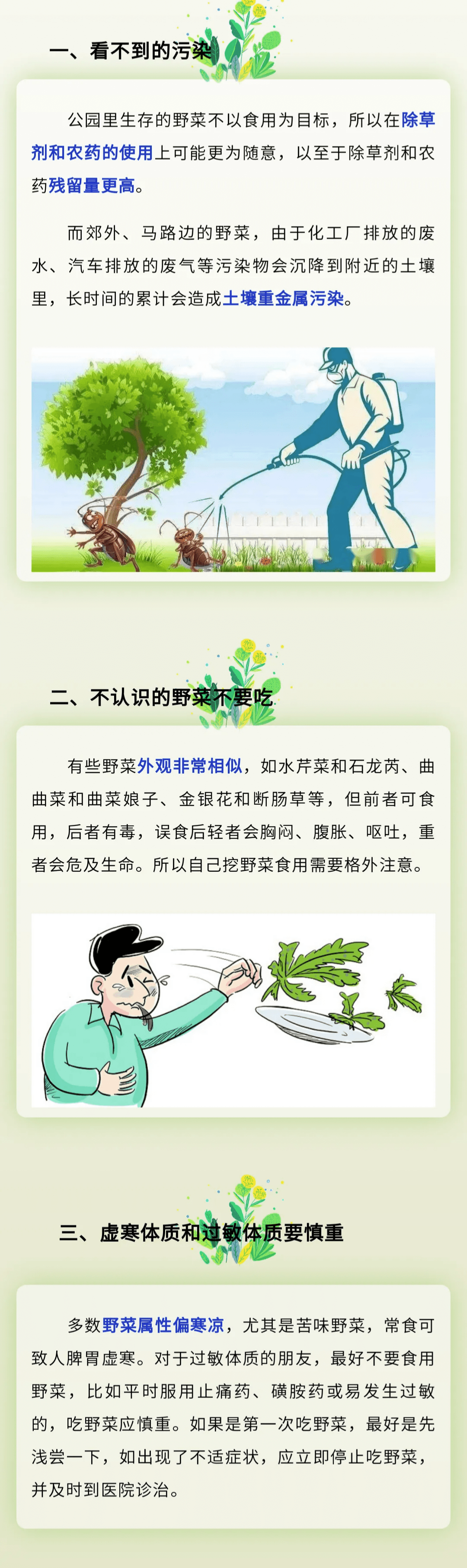 苜蓿花（苜蓿就是四叶草吗） 第4张