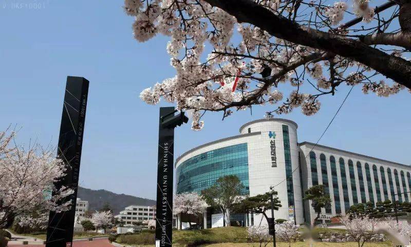 韩国成均馆大学排名图片