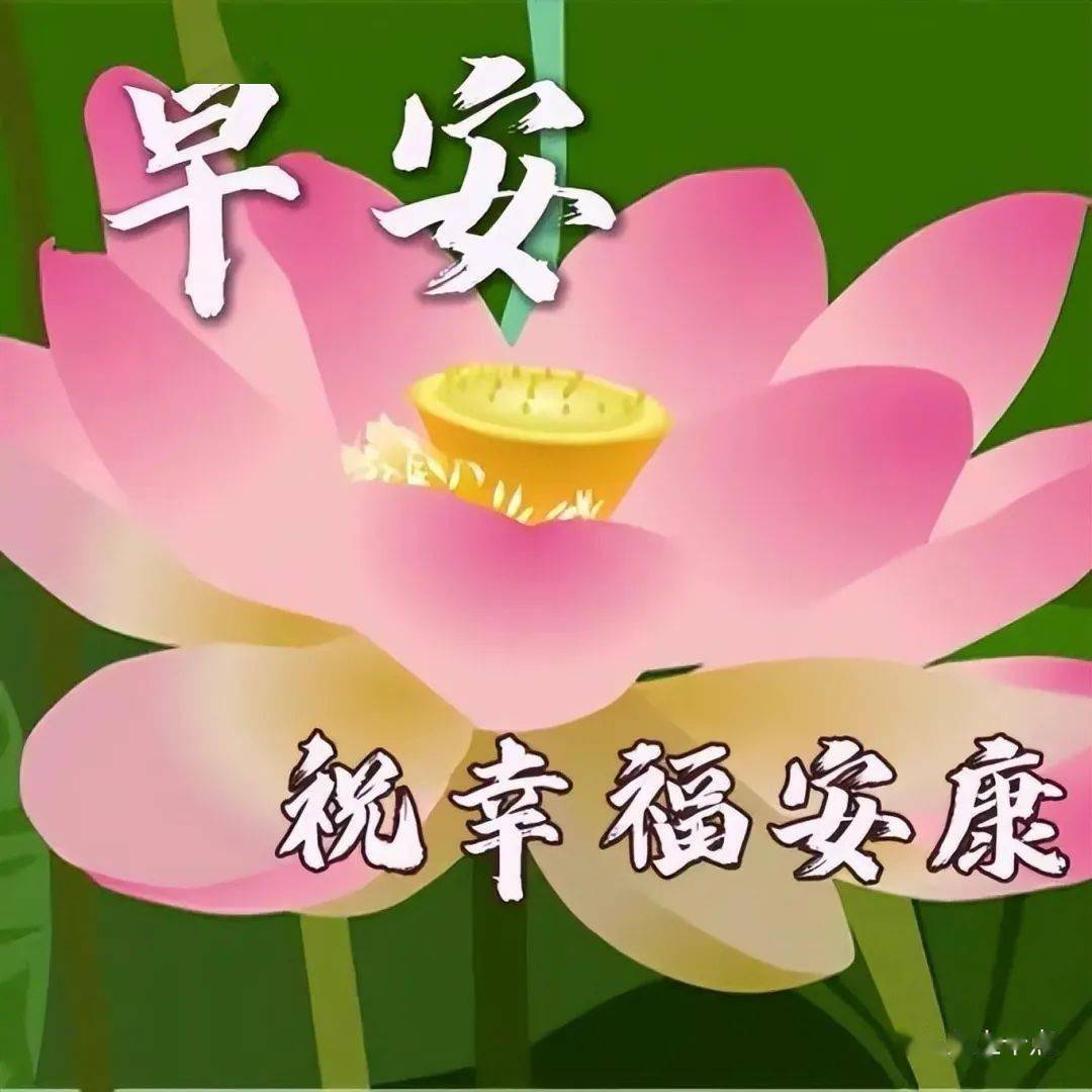 微信最新早上好图片大全,开心愉快,幸福常在_问候_心情_吉祥