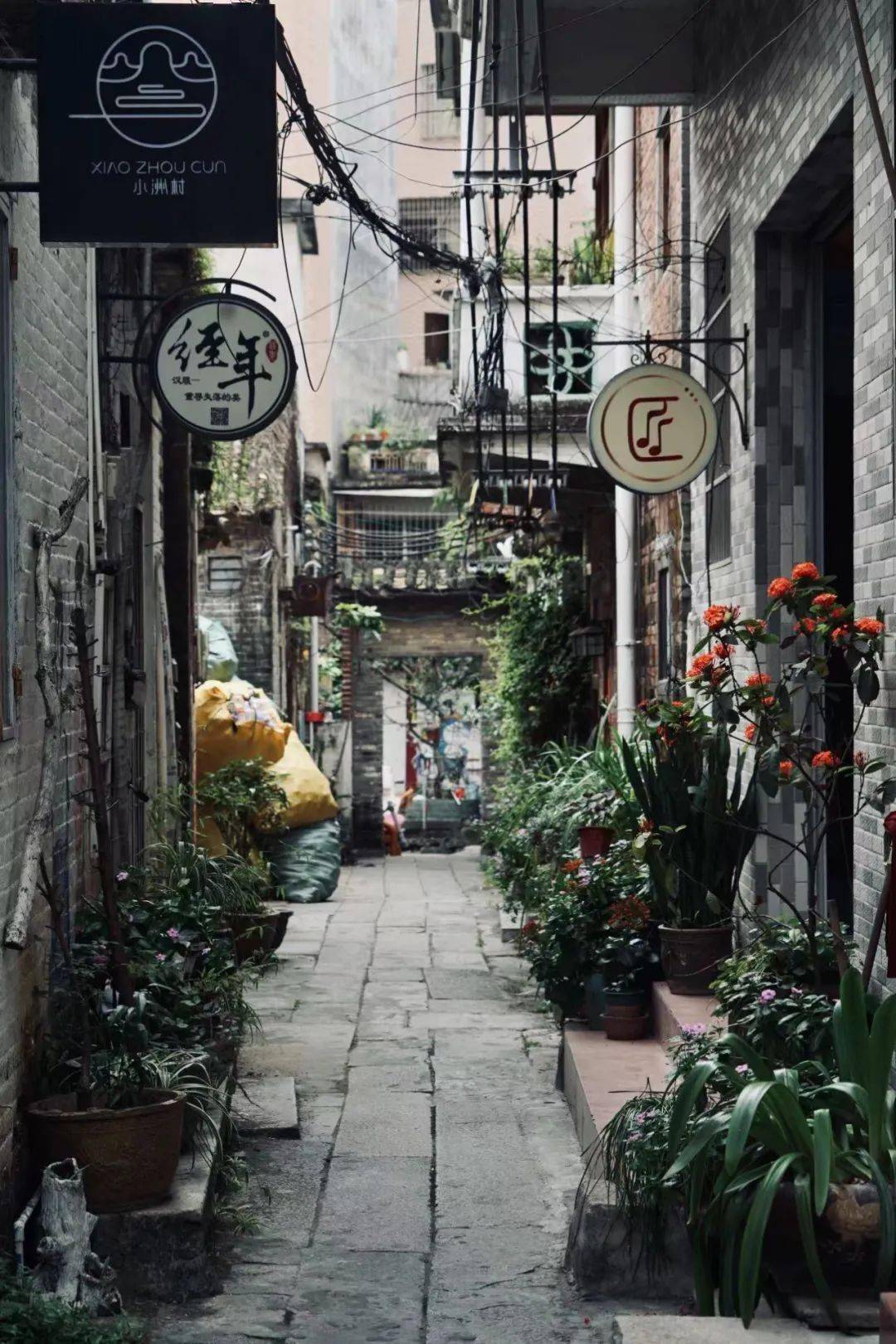曾被文化人封神的小洲村,现在怎样了?_秦万里_艺术_广州