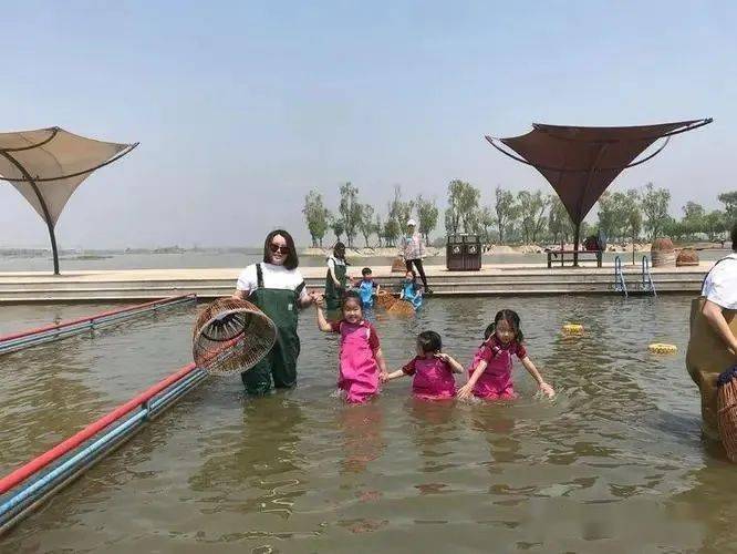 即将发售《顺假期》带您唐山曹妃甸多玛水上乐园亲子溜娃纯玩2日游458