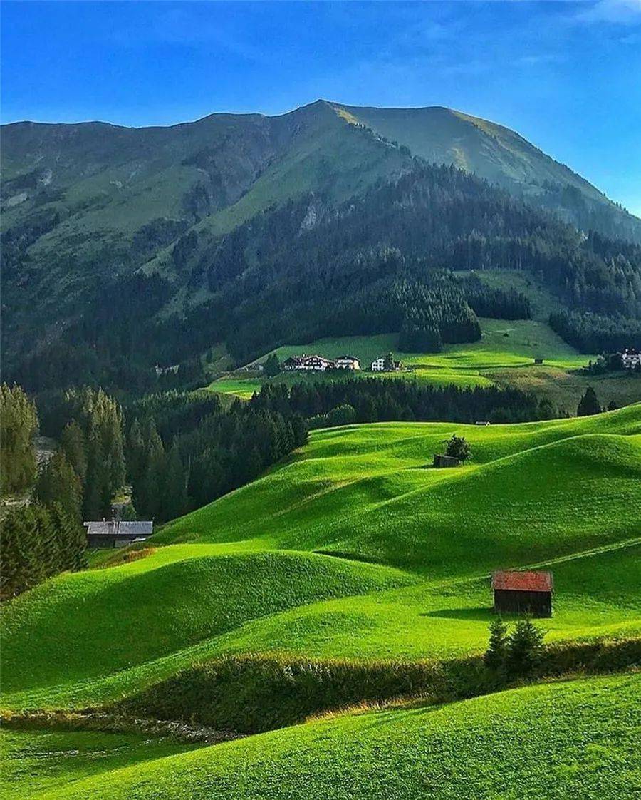 好久不见,绿色世界