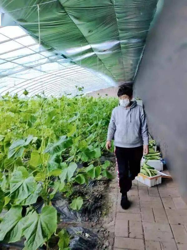 苗木花卉基地掠影