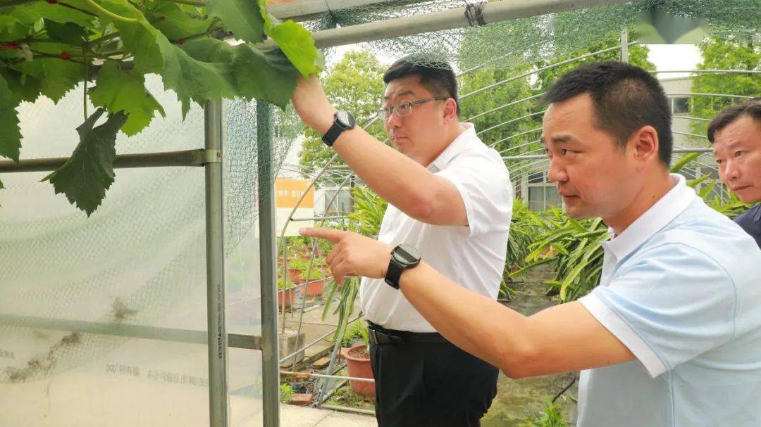 贵阳市乌当区委副书记吕槐乐赴四川国光考察座谈_技术_调控_合作