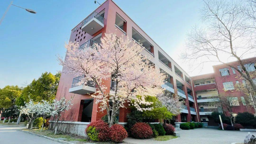 硕放中学喜获国家级荣誉!_教育部_工作_单位