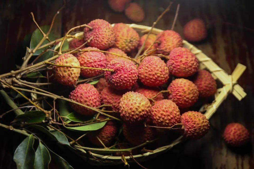 关注|荔枝品种知多少?农民日报介绍合江荔枝