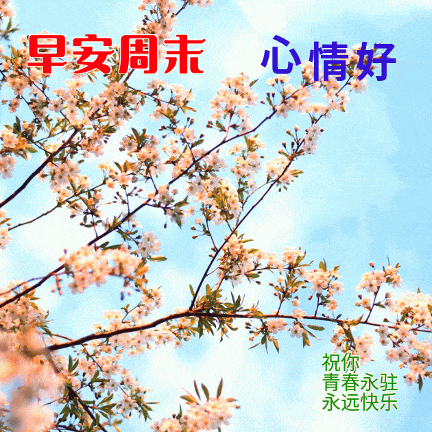 周日新款早上好表情大全,大家早上好表情图大全_朋友_短信_生活