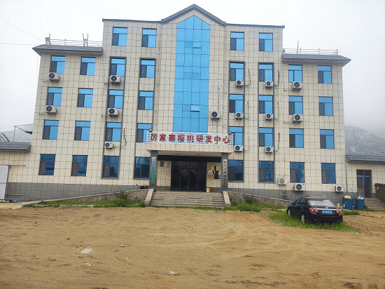 莒南县坪上镇"四雁"齐飞激活产业振兴引擎_服务_人才_示范