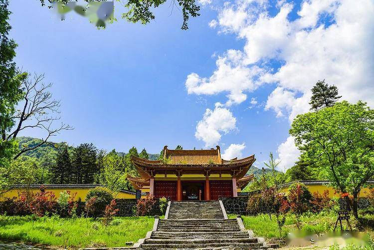 初夏云雾山_勉县_景区_海拔
