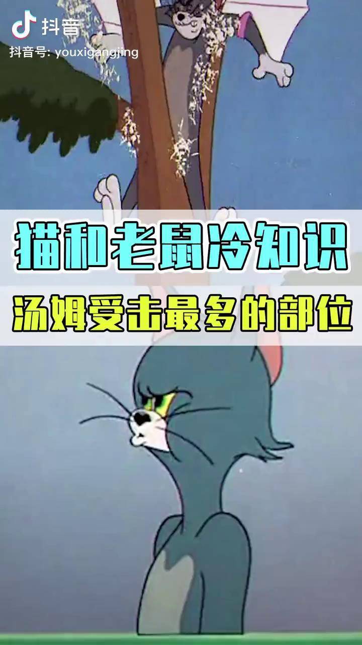 猫和老鼠冷知识图片