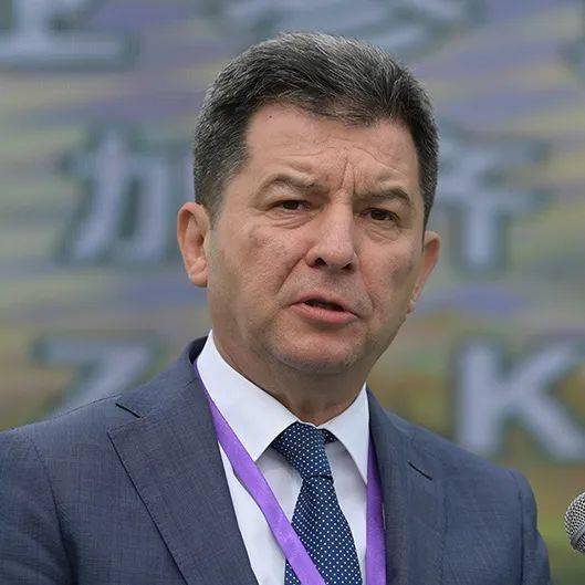 鹤峰县委书记彭元洪在开幕致辞中介绍,"鹤峰全县茶园总面积39.