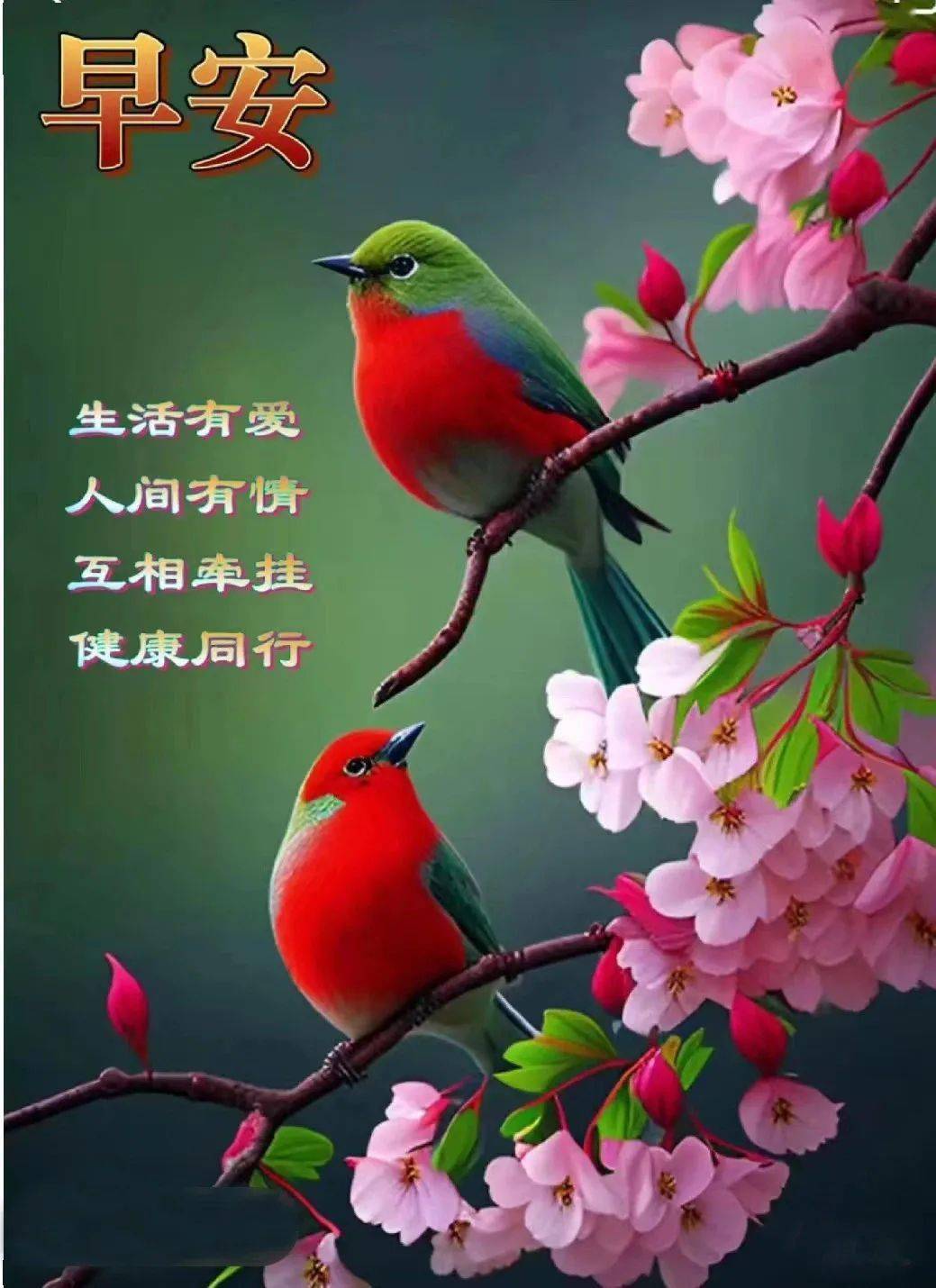 早安馨语:微笑走过昨天,开心面对今天,愉快迎接明天_人生_人世间_阳光