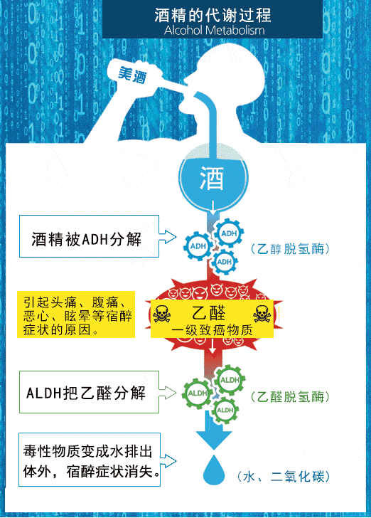 双硫仑样反应该如何紧急处置_乙醇_代谢_药物