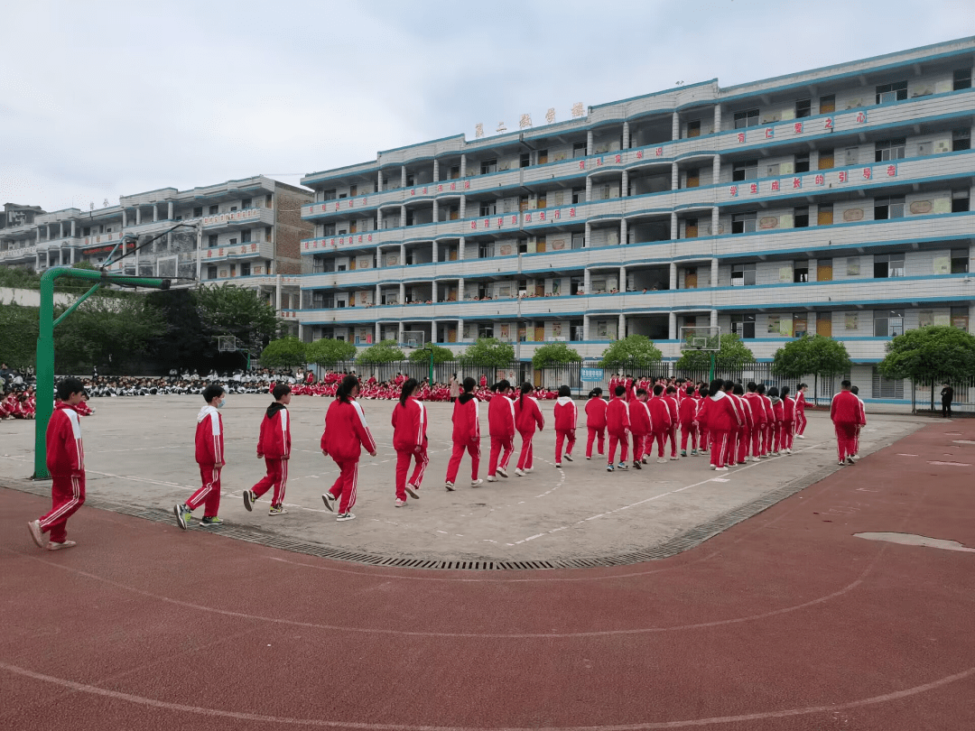云和县第三中学校花图片
