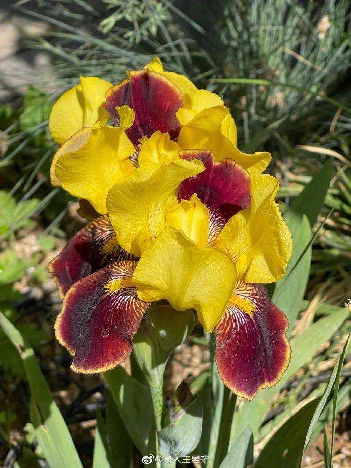 躲得过宋仲基,躲不过王昱珩,43岁清美学霸水哥把家设计成博物馆,秀8块