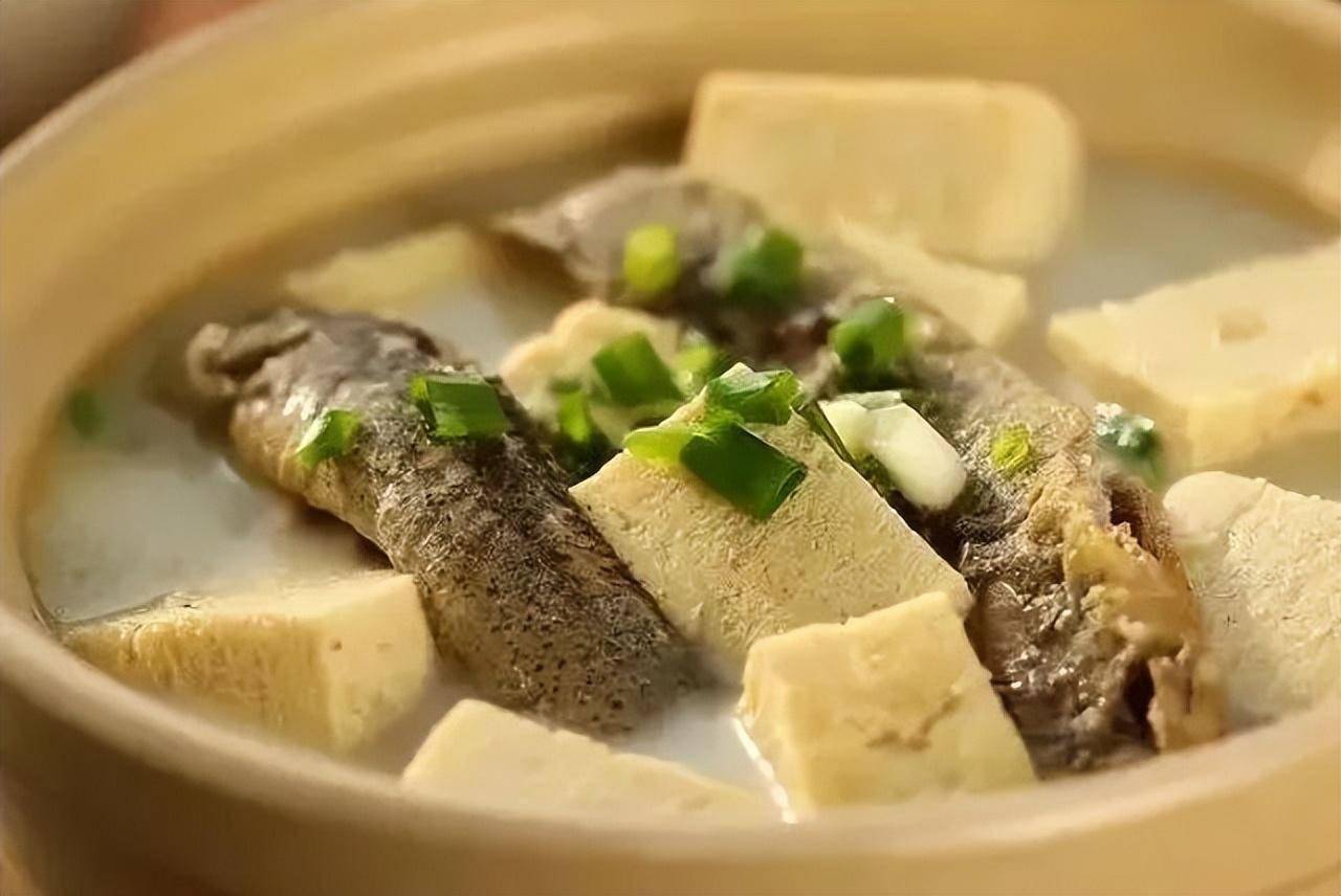 它被称为"水中活人参",能通血脉而大补阴分_泥鳅_功效_材料