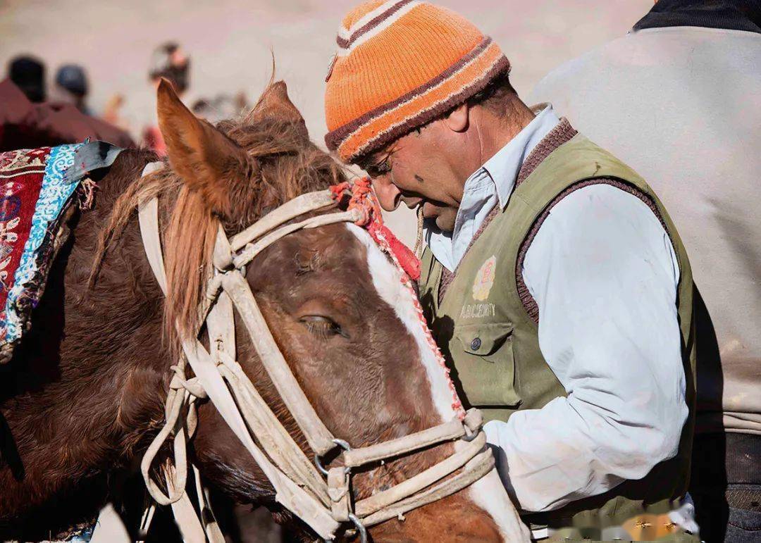 在线影展 | 马惠君:每一个巧合的背后,都是摄影眼长久锻炼的成果_函授