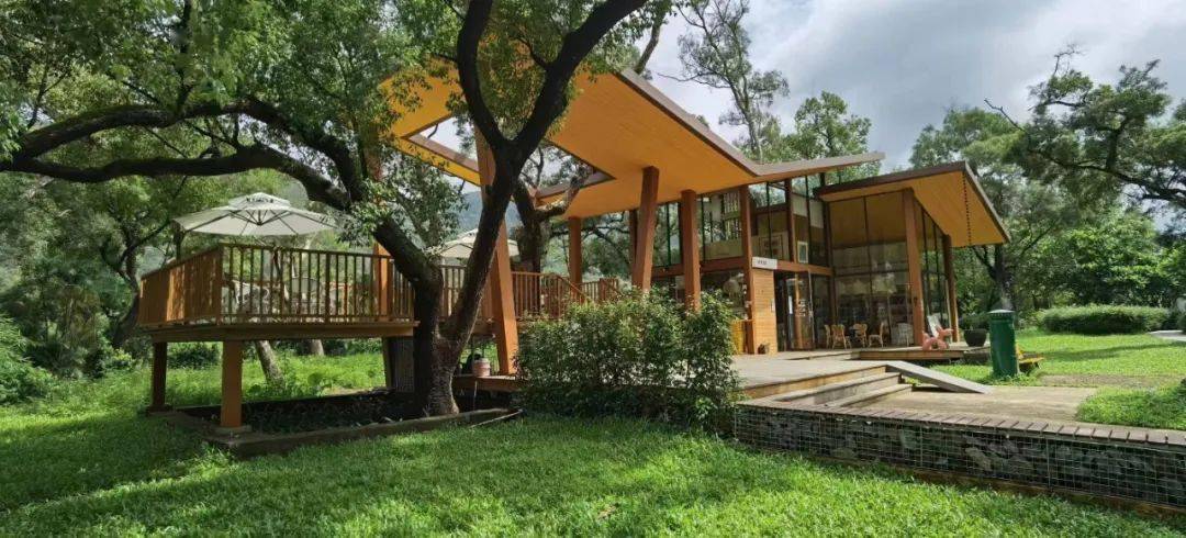 五桂山坚定不移走好文旅融合高质量发展之路_建设_项目_招商