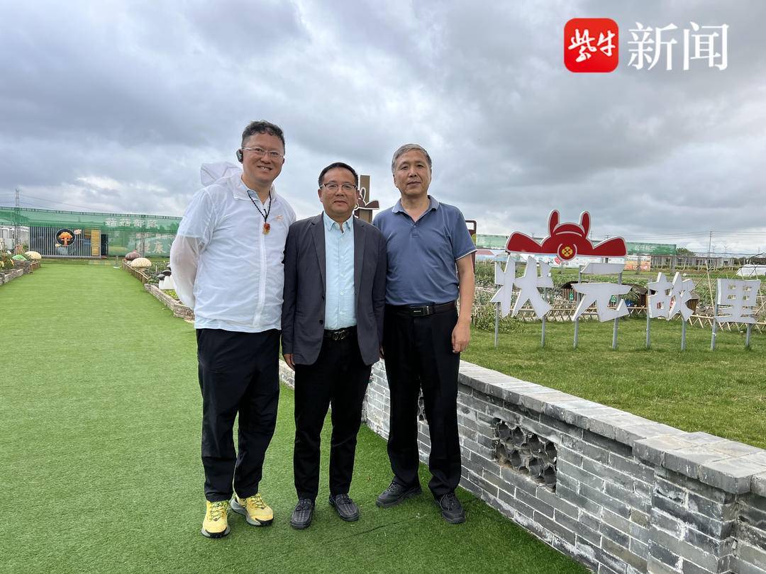 扬子晚报/紫牛新闻记者在小杨村现场调研采访 吴俊 摄通过积极推动"村