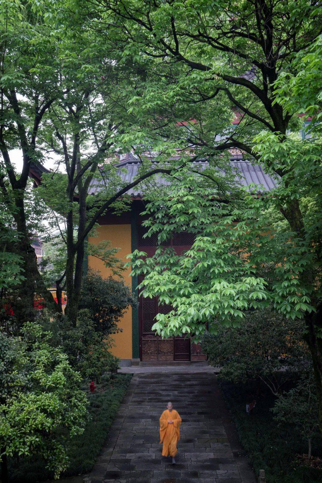 故事|因材施教_赏析_弟子_视频