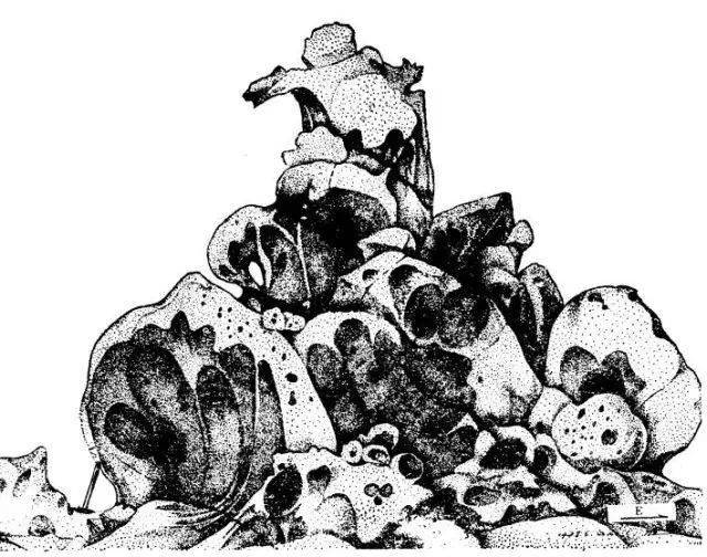 看完前辈的这些野外地质素描,敬意油然而生!_砂岩_构造_甘肃