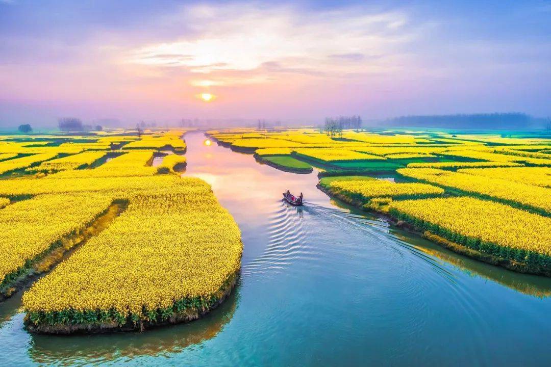 为应对洪灾,中国人居然创造了一项世界遗产!_兴化_农业_时期