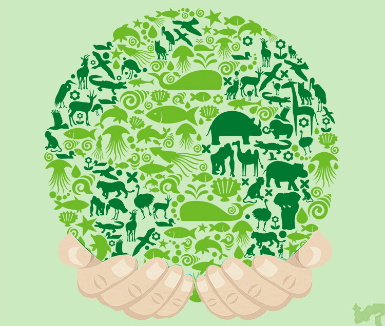 活动招募|感受多样生命,相约绿色通州_生物_多样性_动物
