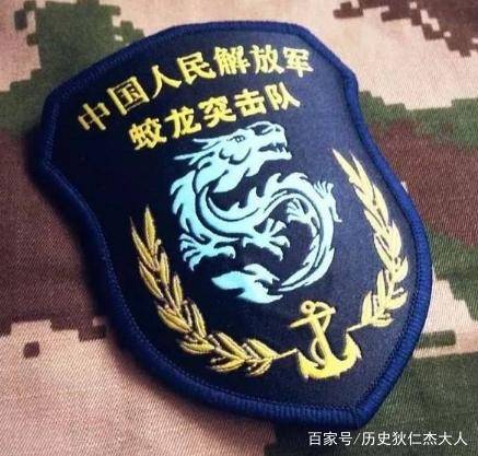 中国五大特种部队臂章，全部认识堪称“资深军迷”_搜狐网