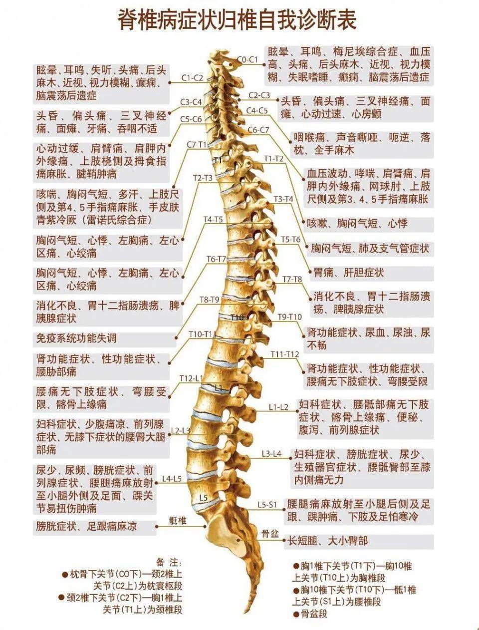 脊椎病 感染图片