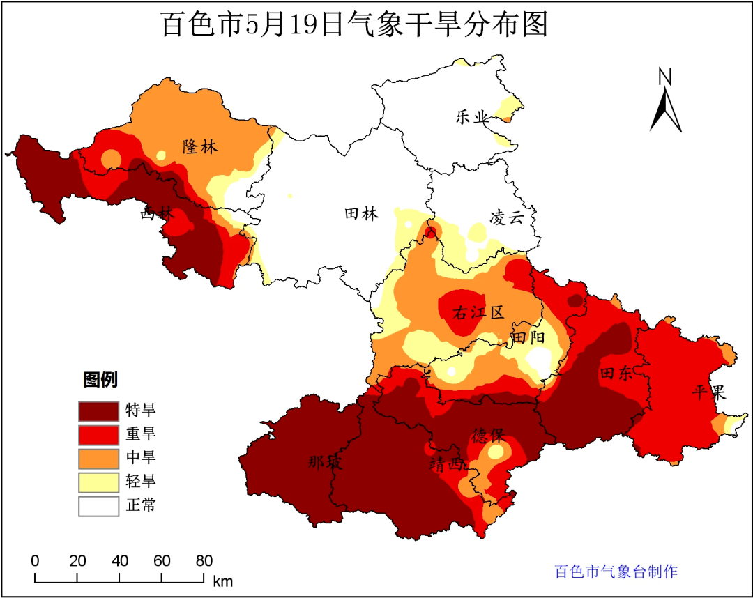 田阳特大案图片