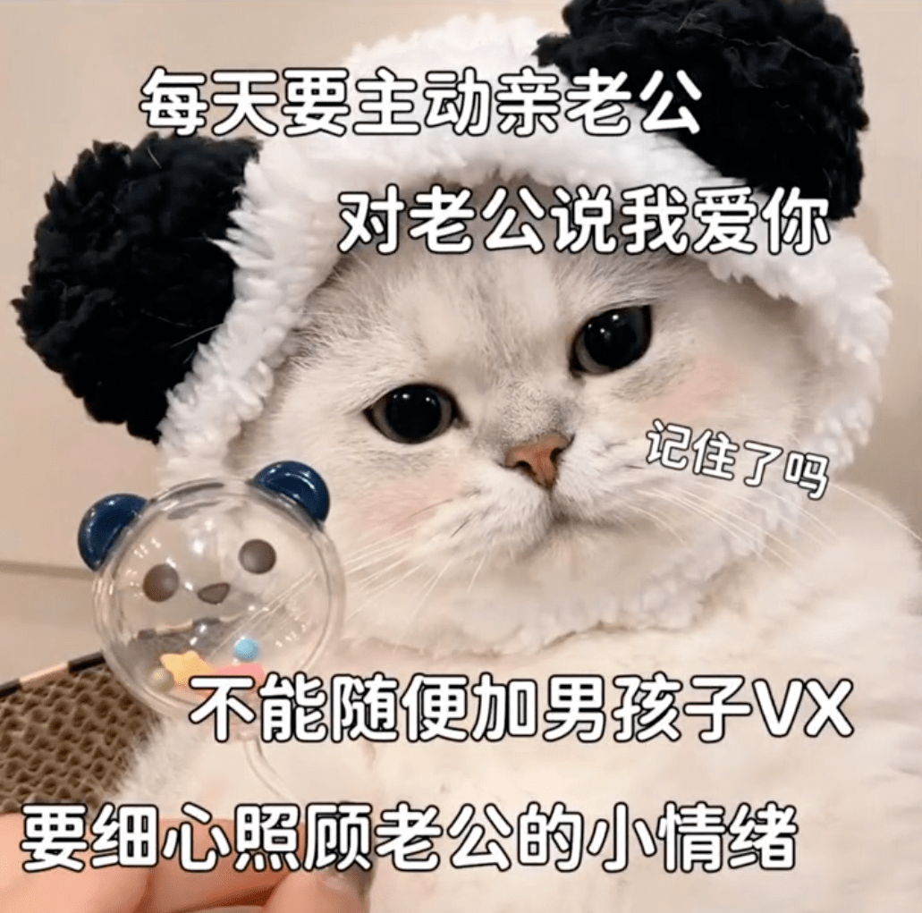 老公爱你哟表情包图片