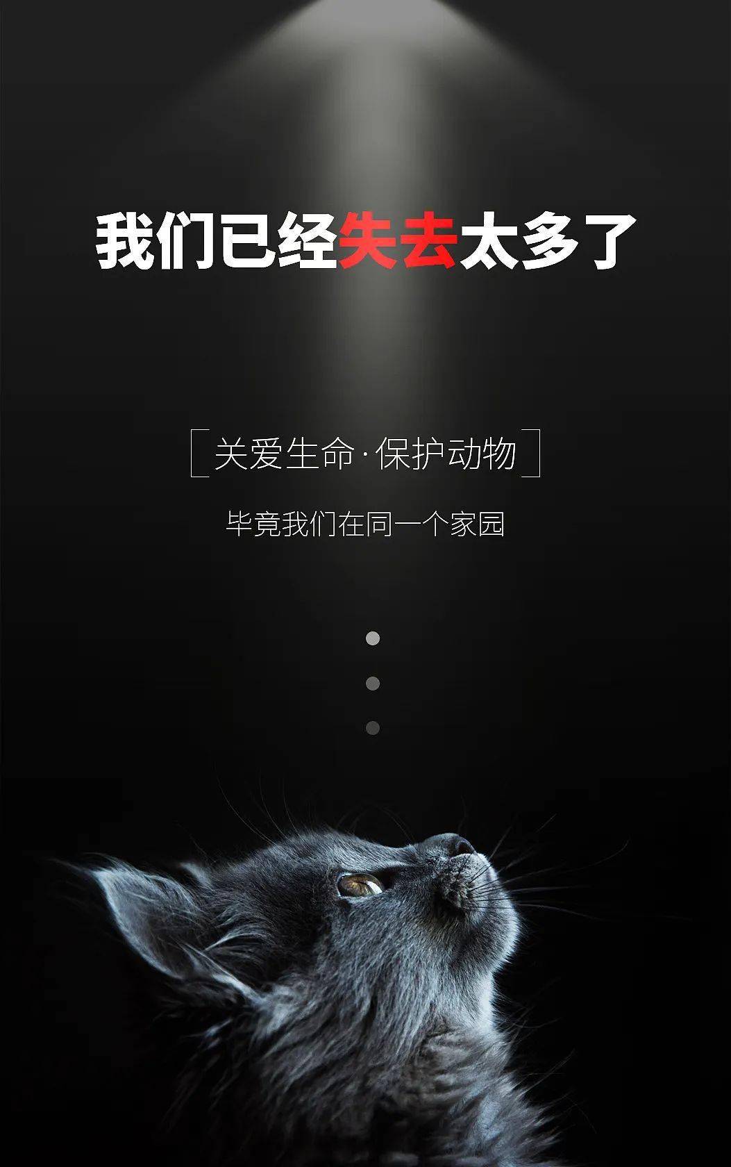 各个国家动物保护法现状_狗狗_立法_主人