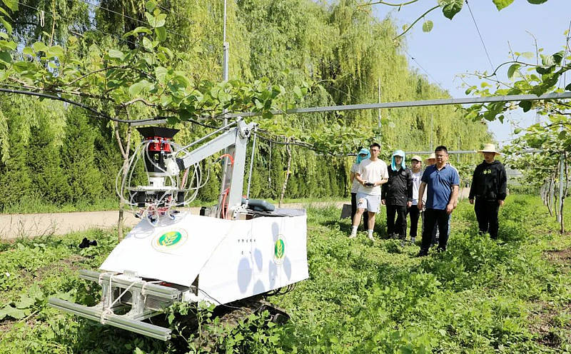 授粉机长"鹰眼",西农大这台猕猴桃机器人真厉害!_机械_识别_研制的