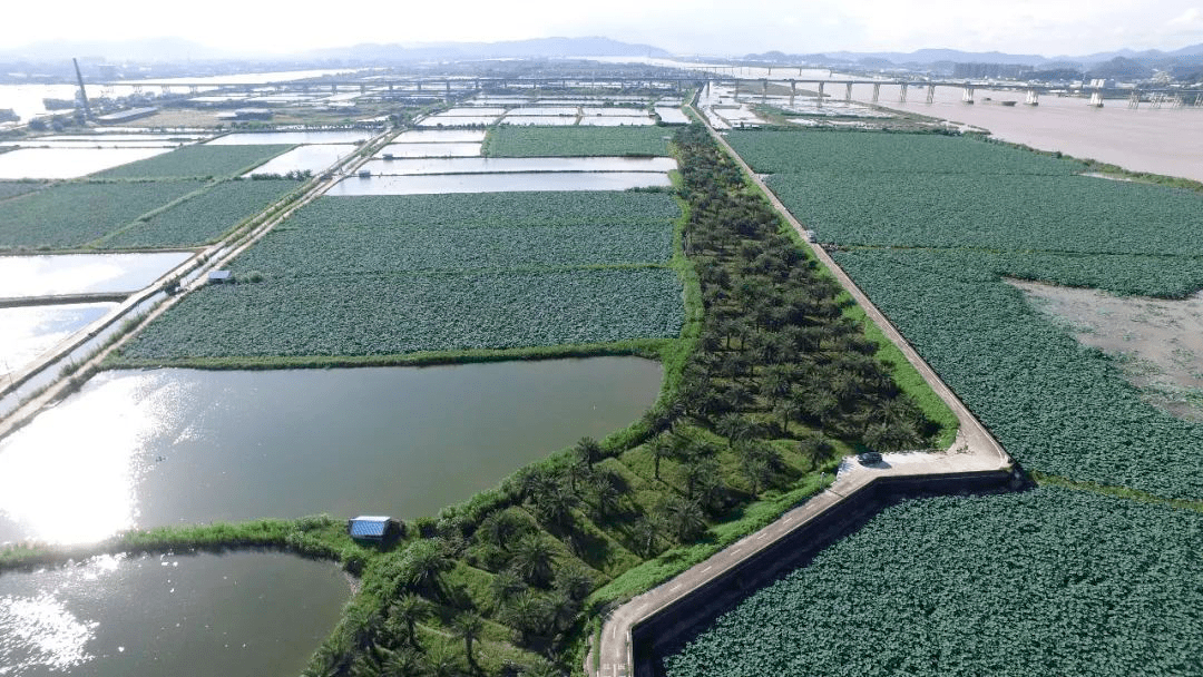 空气清新竹排村是神湾镇最南部的一个村神湾·竹排村享受着最惬意的