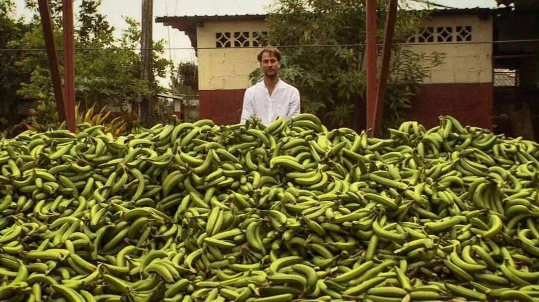 浪费是因为缺乏想象力 : 一场关于保卫食物的尝试|ggview_sancho_生产