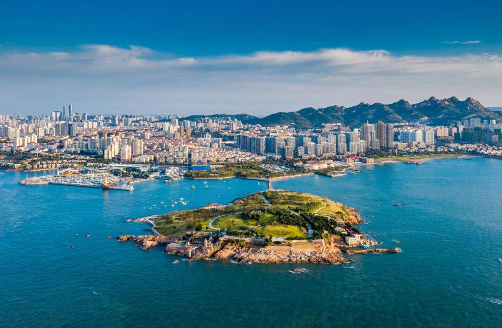 快来数一数,"神鸟"知多少!青岛市胶州湾重点保护鸟类养护观测站正式揭