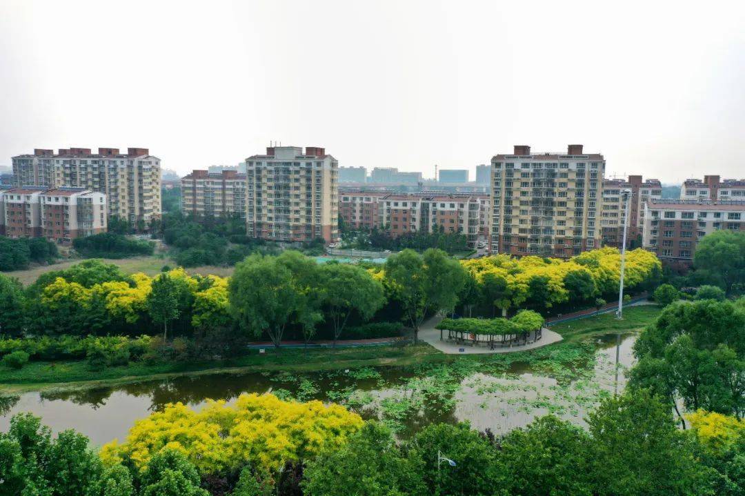 太行泉城 美麗邢臺|南和興和園:生態湖扮靚新城區_活動區_健身_休閒