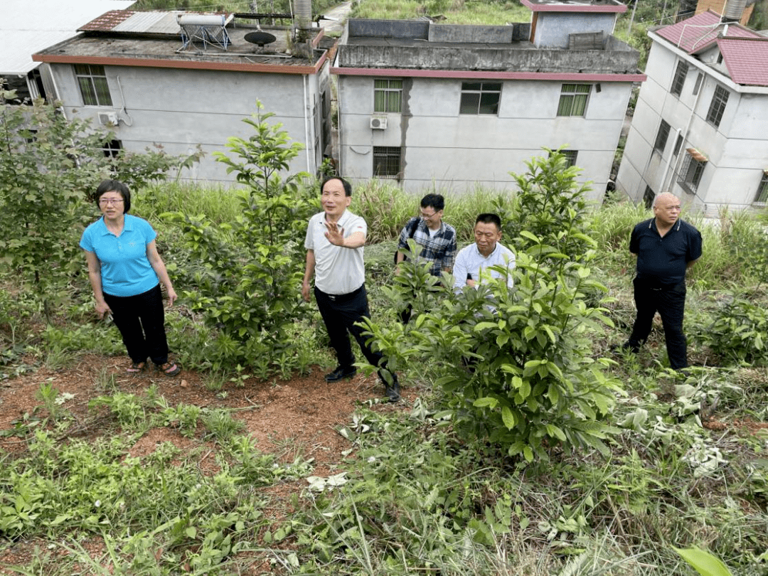 劉亞聖一行深入新羅區曹溪街道大錦山,馬坑村,永定仙崬國有林場,永定