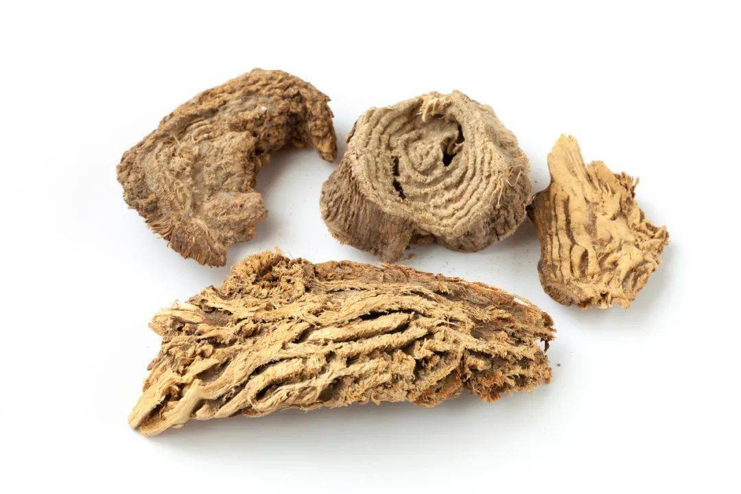 "美洲商陆"是什么?长什么样?